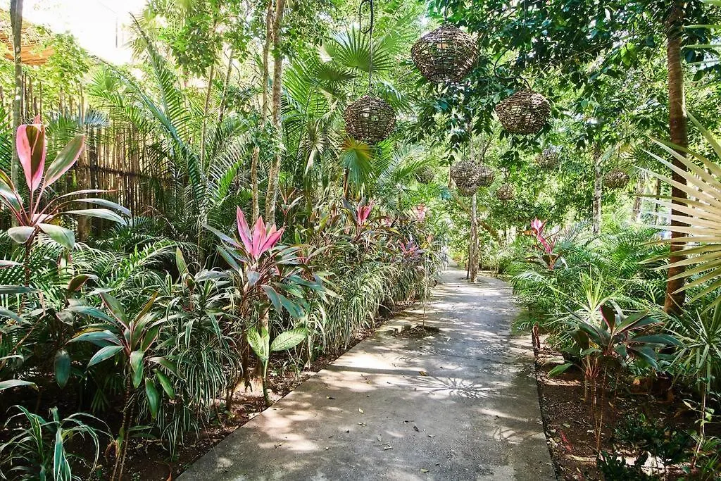 Nuuch Classy Ph W/ Private Pool/Rooftop, Aldea Zama Tulum Meksyk